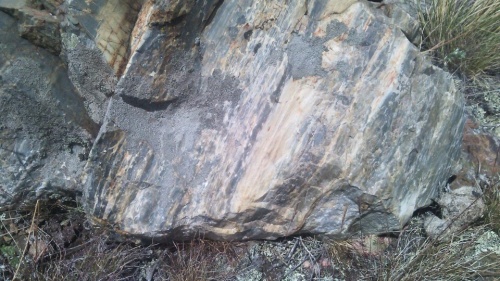 Гигантские зелёные валуны для ландшафтного дизайна весом более 5 тонн купить в Челябинской области