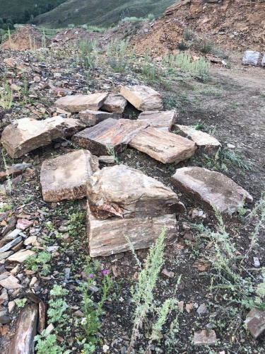 Плитняк кора дерева 50-100мм для пошаговых дорожек купить в Челябинской области